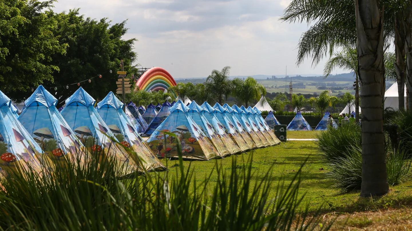 imagen carpas tomorrowland